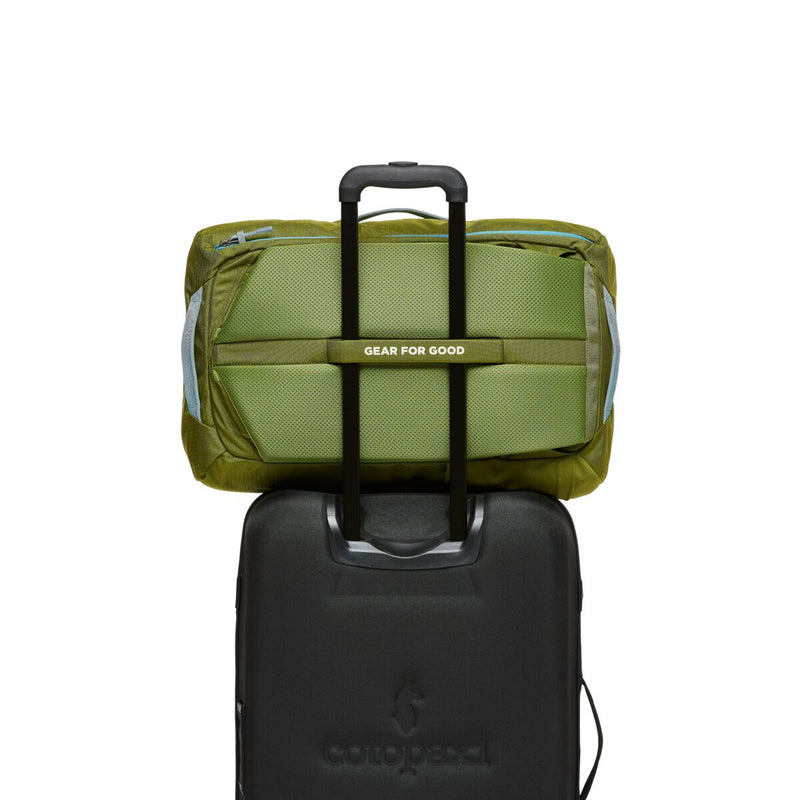 Cotopaxi Allpa 35L Travel Pack - Lemon Grass and Cedar