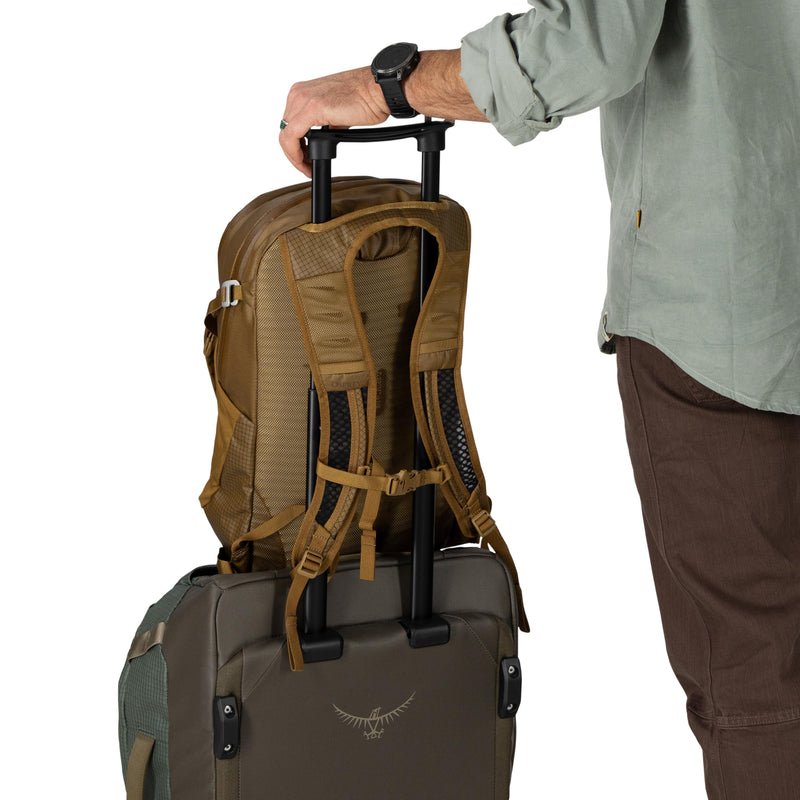 Daylite™ Plus Daypack Limited Edition Histosol Brown