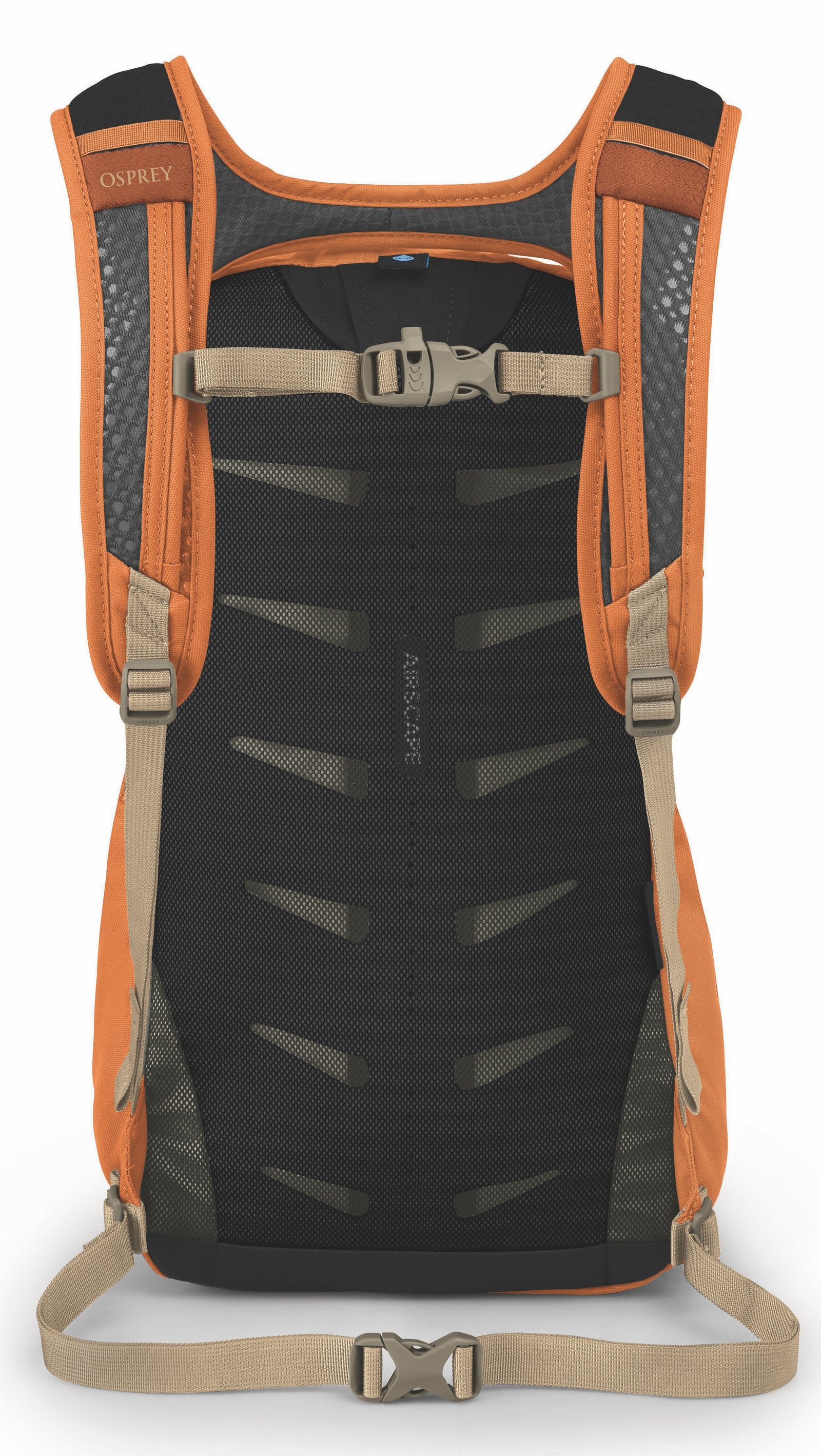 k2 PINACLE130 26.0-26.5cmバックカントリー・フリーライド Daylite_F24_Back_UmberTequilaS